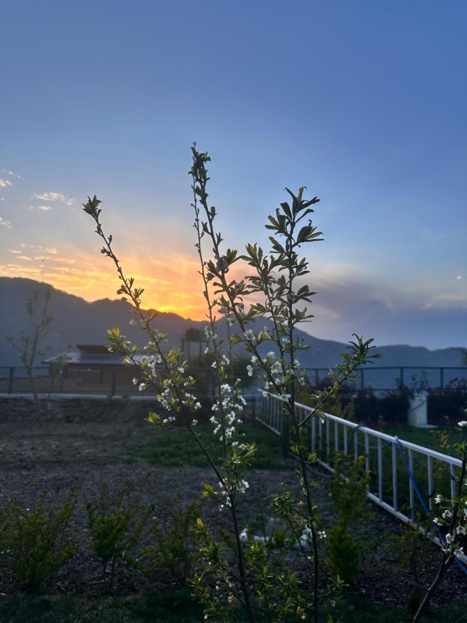 Highfield Villa Kanatal Dış mekan fotoğraf